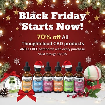 Black Friday Starts Now 70% off