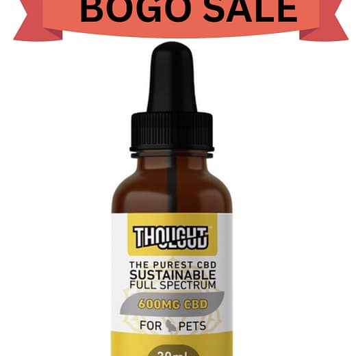 ThoughtCloud -Full Spectrum CBD for Pets in Cold Pressed Hemp Seed Oil 300mg, 600mg, 1200mg